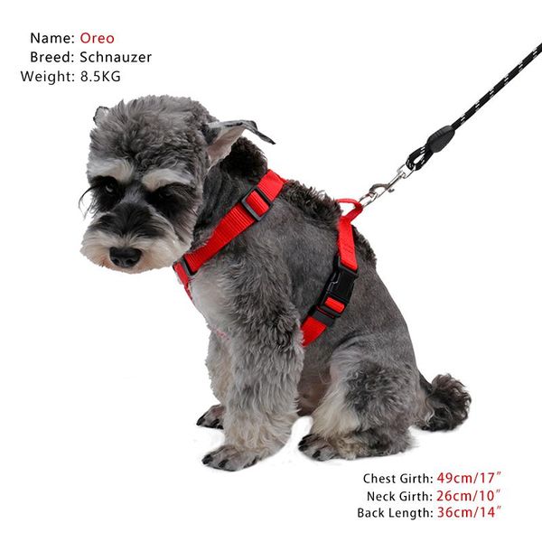 dog collars & leashes harness 2pcs/lot durable nylon adjustable chest strap vest leash set for cat small medium animal walking pet accessori
dog collars & leashes harness 2pcs/lot durable nylon adjustable chest strap vest leash set for cat small medium animal walking pet accessori