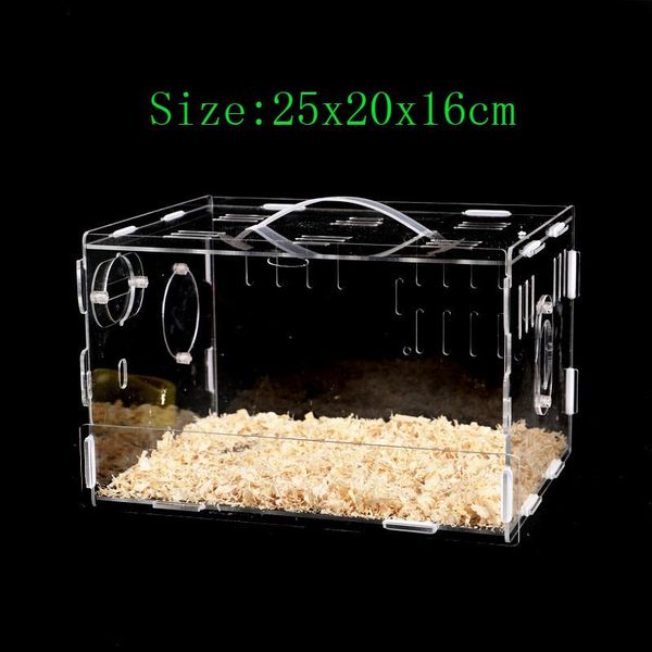 small animal supplies transparent hamster nest acrylic guinea pig cage single-deck villa baby
small animal supplies transparent hamster nest acrylic guinea pig cage single-deck villa baby