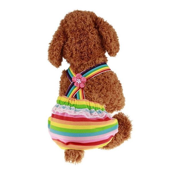 dog apparel washable pet strap physiological pants diaper underwear female shorts panties menstruation s/m/l
dog apparel washable pet strap physiological pants diaper underwear female shorts panties menstruation s/m/l