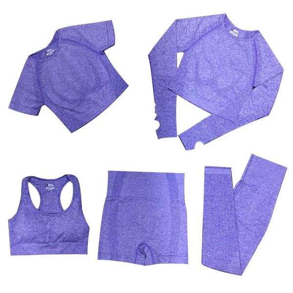 seamless fitness long sleeve workout clothes yoga set suit women's sports wear bra shorts gym cropped clothing pants outfit
seamless fitness long sleeve workout clothes yoga set suit women's sports wear bra shorts gym cropped clothing pants outfit