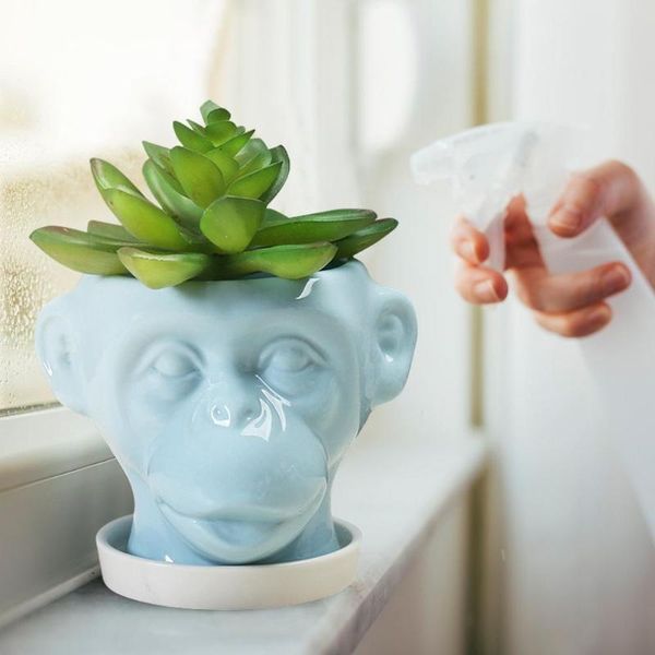 planters & pots animal face shaped flower pot ceramic irregular garden sculpture ornaments crafts home yard decor
planters & pots animal face shaped flower pot ceramic irregular garden sculpture ornaments crafts home yard decor