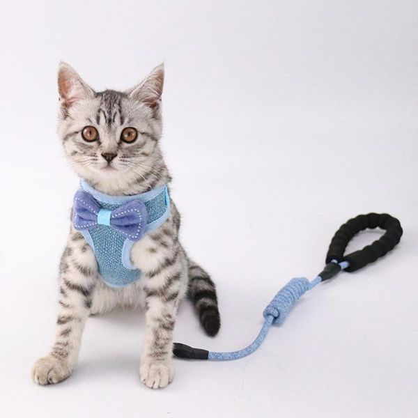 breakaway cat collar cute bow vests harness and leash product accessories green for cats or puppies collars & leads
breakaway cat collar cute bow vests harness and leash product accessories green for cats or puppies collars & leads