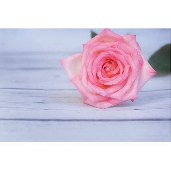 party decoration light purple wooden board backdrop rose background birthday wedding baby shower valentine's day decor po booth props
party decoration light purple wooden board backdrop rose background birthday wedding baby shower valentine's day decor po booth props