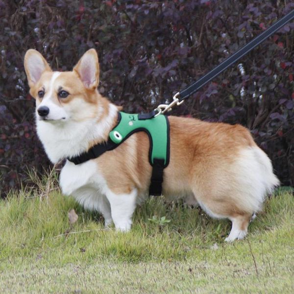 dog collars & leashes portable pet adjustable breathable polyester walking safety harness for puppy small dogs supplies decor
dog collars & leashes portable pet adjustable breathable polyester walking safety harness for puppy small dogs supplies decor