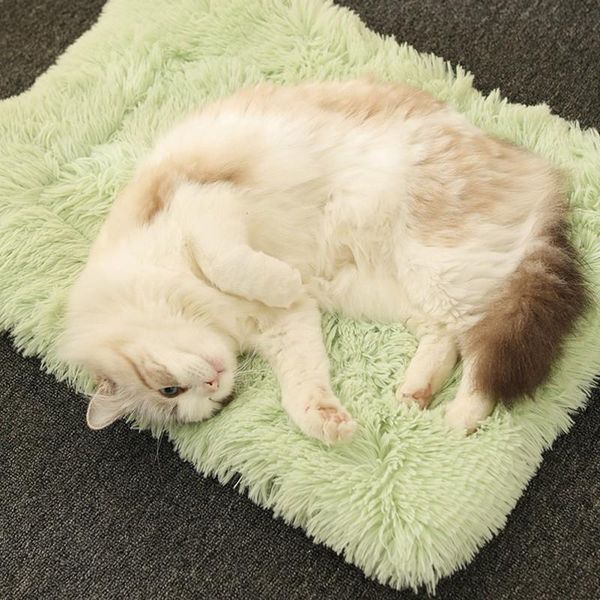 kennels & pens panda2 in 1 long plush pet blankets dog cat bed mats deep sleeping soft kennel mat for all season use mattress
kennels & pens panda2 in 1 long plush pet blankets dog cat bed mats deep sleeping soft kennel mat for all season use mattress