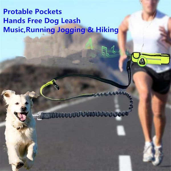 dog collars & leashes hands leash portable waterproof waist pocket belt sets sports jogging music adjustable reflective leads for pet
dog collars & leashes hands leash portable waterproof waist pocket belt sets sports jogging music adjustable reflective leads for pet