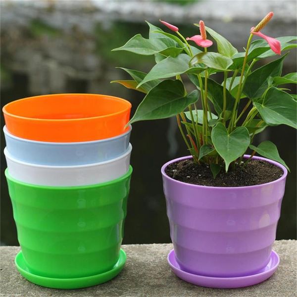 planters & pots 5pc colourful mini plastic flower pot succulent plant flowerpot home decor vase decorative decoration
planters & pots 5pc colourful mini plastic flower pot succulent plant flowerpot home decor vase decorative decoration