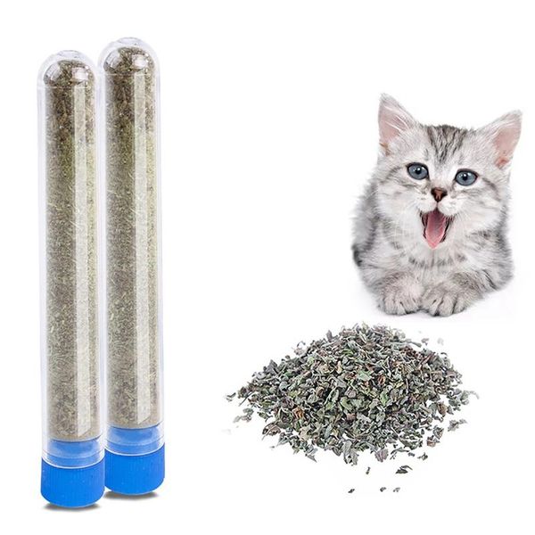 cat toys legendog catnip creative teeth cleaning 100% natural treat kitten favor snack pet supplies
cat toys legendog catnip creative teeth cleaning 100% natural treat kitten favor snack pet supplies