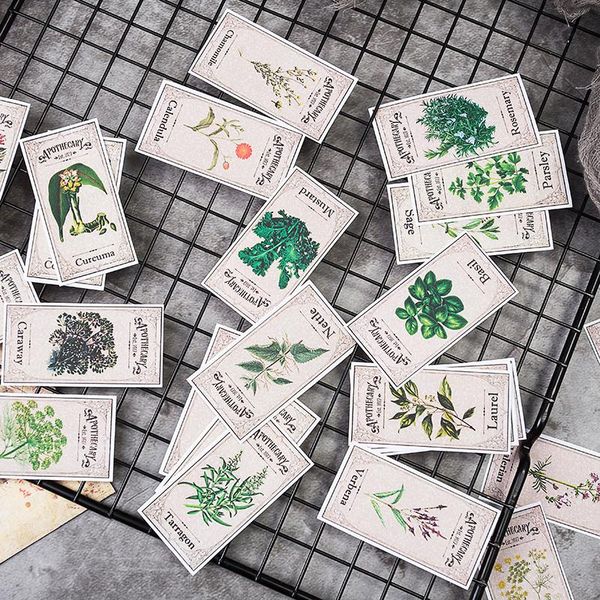 gift wrap plant flowers diy diary po decorative scrapbook stationery sticker korean happiness manual
gift wrap plant flowers diy diary po decorative scrapbook stationery sticker korean happiness manual