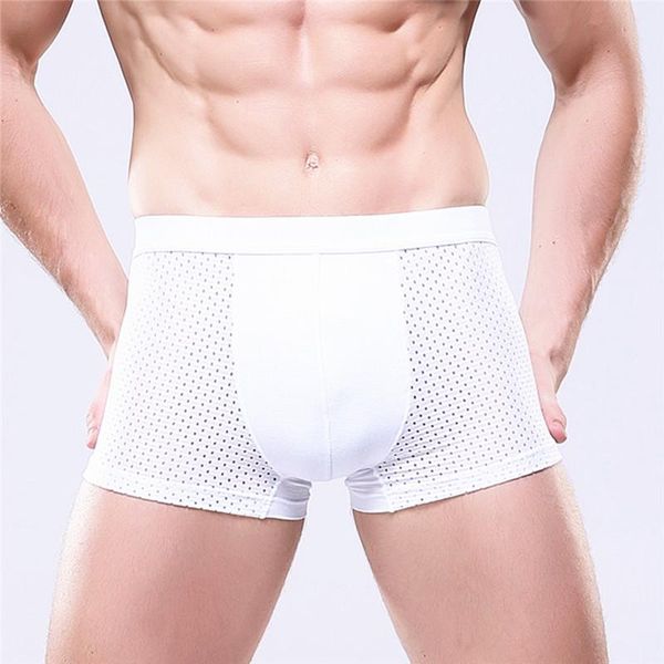 underpants white shorts underwear breathable male modal mesh men boxers man hole unterwasche herren size l-4xl, Black;white
underpants white shorts underwear breathable male modal mesh men boxers man hole unterwasche herren size l-4xl, Black;white