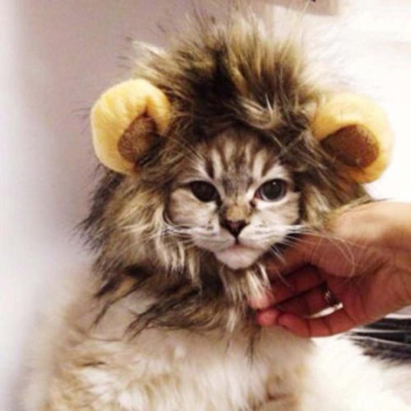 dog apparel lovely fancy pet costume mane hair cat hat wig cosplay lion stuffed peg wigs
dog apparel lovely fancy pet costume mane hair cat hat wig cosplay lion stuffed peg wigs