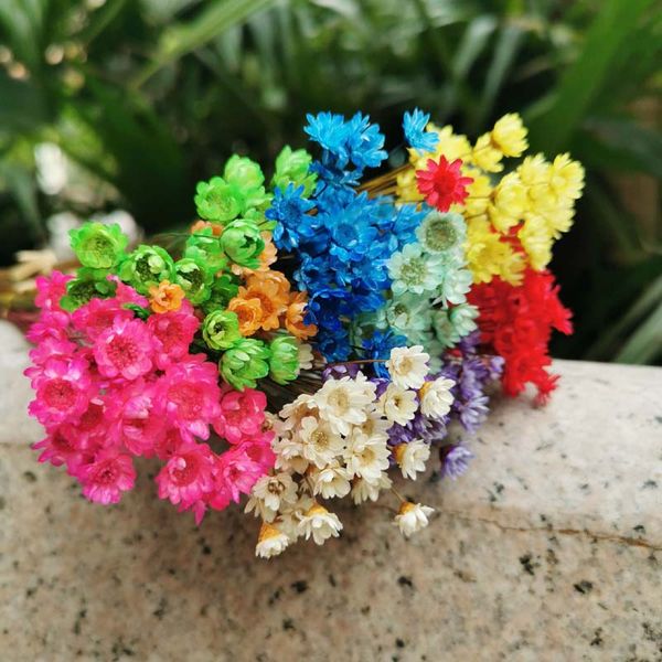 150pcs/0.6-1cm headreal dried natural little flower branchmini star flowers bouquet for resin jewelleryhome decoration
150pcs/0.6-1cm headreal dried natural little flower branchmini star flowers bouquet for resin jewelleryhome decoration