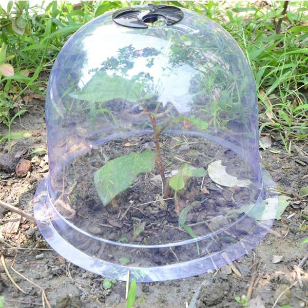 planters & pots 5pcs garden dome plant bell cover protector ground securing pegs with label peg greenhouse
planters & pots 5pcs garden dome plant bell cover protector ground securing pegs with label peg greenhouse