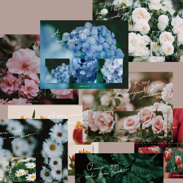 gift wrap ins flower grass plant little fresh girl style sticker daisy tulips language notes wall leaving a mess scrapbook
gift wrap ins flower grass plant little fresh girl style sticker daisy tulips language notes wall leaving a mess scrapbook