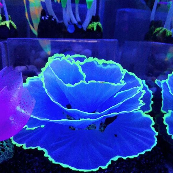 decorations aquarium ornament decoration fish tank landscaping simulation lettuce coral underwater world micro landscape 090c for
decorations aquarium ornament decoration fish tank landscaping simulation lettuce coral underwater world micro landscape 090c for