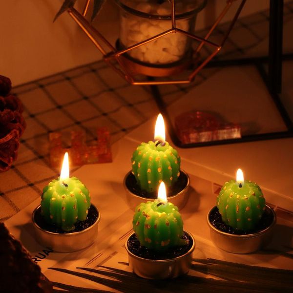 6pcs artificial succulent plants cactus candle for birthday party wedding site decoration candlelight decorative accessories candles
6pcs artificial succulent plants cactus candle for birthday party wedding site decoration candlelight decorative accessories candles