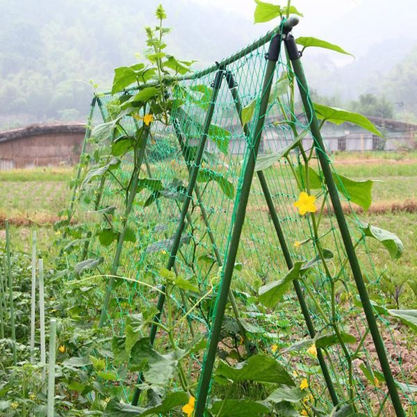 1.8x0.9m nylon garden trellis net support for vegetable climbing vine plants netting planters & pots
1.8x0.9m nylon garden trellis net support for vegetable climbing vine plants netting planters & pots