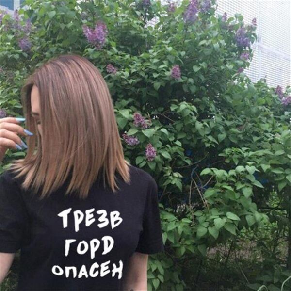 sober proud dangerous russian womens t shirts letter print funny summer fashion tumblr quotes short sleeve tee, White
sober proud dangerous russian womens t shirts letter print funny summer fashion tumblr quotes short sleeve tee, White