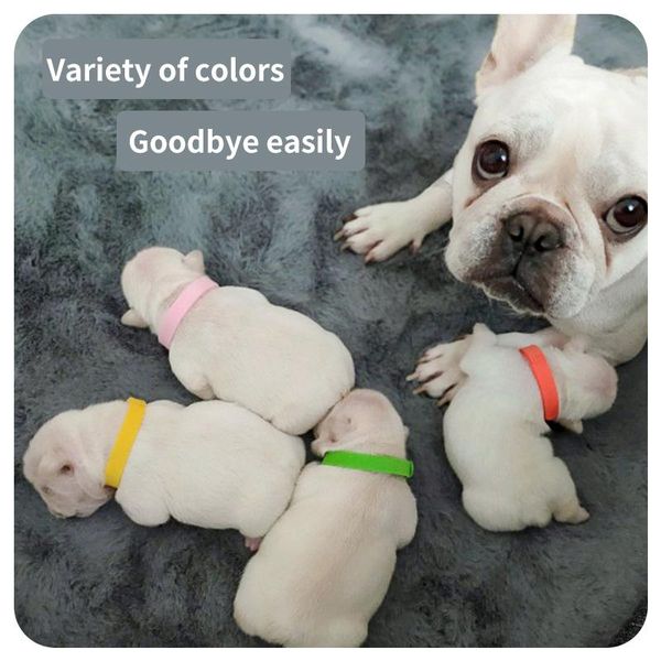 dog collars & leashes born pet classification collar puppies kittens puppy identity distinction identification small milk dogs birth mark ro
dog collars & leashes born pet classification collar puppies kittens puppy identity distinction identification small milk dogs birth mark ro