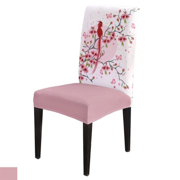 chair covers modern dining cover pink sakura birds print home table chairs for kitchen tablecloth
chair covers modern dining cover pink sakura birds print home table chairs for kitchen tablecloth