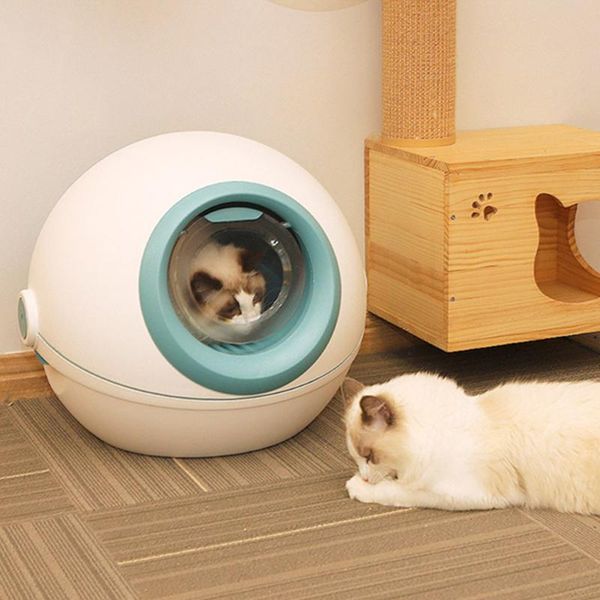 the latest convenient to use cat litter basin fully closed clamshell large anti-splashing deodorant with elven ball elegant other supplies
the latest convenient to use cat litter basin fully closed clamshell large anti-splashing deodorant with elven ball elegant other supplies