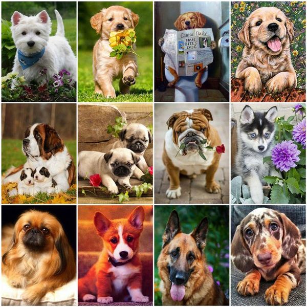 diamond painting azqsd full square embroidery animal handmade gift picture rhinestones mosaic dog home decoration
diamond painting azqsd full square embroidery animal handmade gift picture rhinestones mosaic dog home decoration