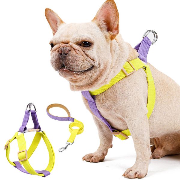 dog collars & leashes harness and no pull nylon pet for small s french bulldog chihuahua lead collar set yorkies c76e
dog collars & leashes harness and no pull nylon pet for small s french bulldog chihuahua lead collar set yorkies c76e