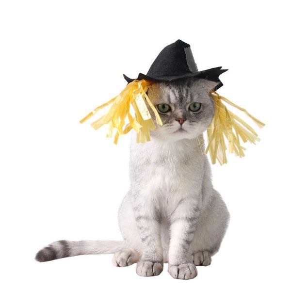 dog apparel pet hat cool headband headwear halloween for small medium cats/dog accessories caps product cosplay
dog apparel pet hat cool headband headwear halloween for small medium cats/dog accessories caps product cosplay