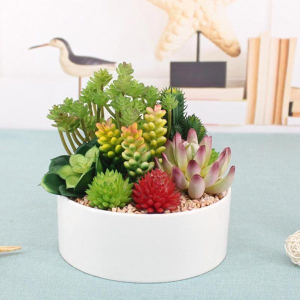 decorative flowers & wreaths green purple red white blue flocking artificial succulents mini garden plastic deskhome bonsai plants decor
decorative flowers & wreaths green purple red white blue flocking artificial succulents mini garden plastic deskhome bonsai plants decor