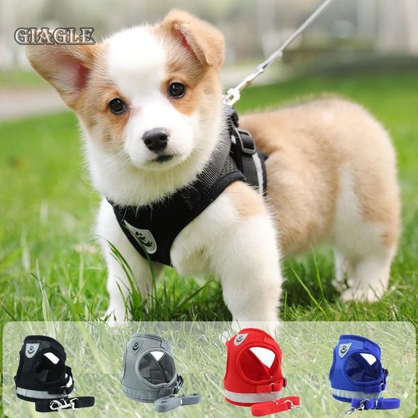 breakaway reflective dog harness and leash set for puppy cats small kitten kitty chest vest collar pet product accessories collars & leashes
breakaway reflective dog harness and leash set for puppy cats small kitten kitty chest vest collar pet product accessories collars & leashes