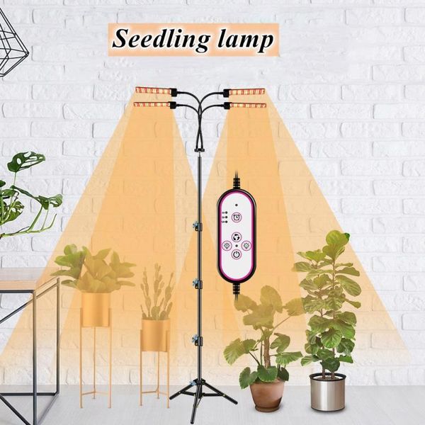 grow light usb phyto lamp full spectrum tent complete kit phytolamp for plants seedlings flowers indoor box lights
grow light usb phyto lamp full spectrum tent complete kit phytolamp for plants seedlings flowers indoor box lights