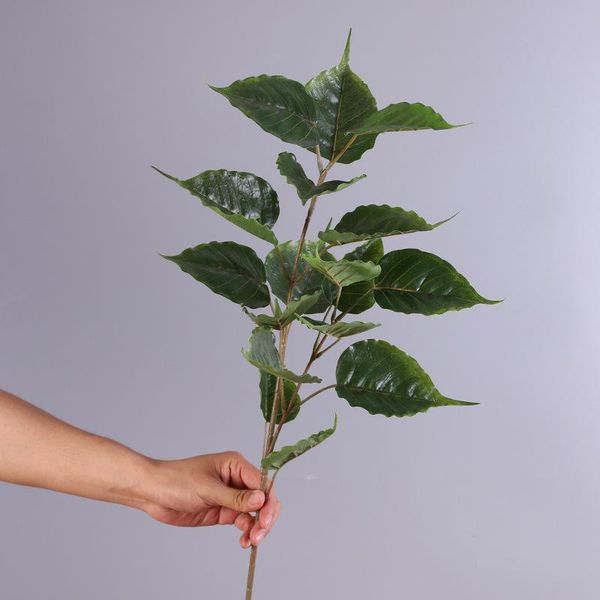 decorative flowers & wreaths hand feeling simulation green plant tilia europaea home indoor living room decoration
decorative flowers & wreaths hand feeling simulation green plant tilia europaea home indoor living room decoration