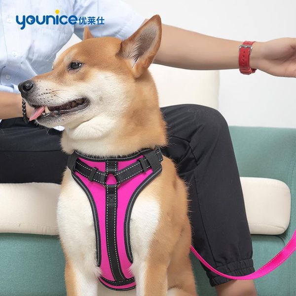 padded reflective dog pet harness small large soft walk adjustable with handle for seat belt supplies drop car covers
padded reflective dog pet harness small large soft walk adjustable with handle for seat belt supplies drop car covers