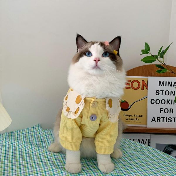 cat costumes summer cute ins pet clothes ragdoll t-shirt sweater thin hair proof small dog bichon frise spring
cat costumes summer cute ins pet clothes ragdoll t-shirt sweater thin hair proof small dog bichon frise spring