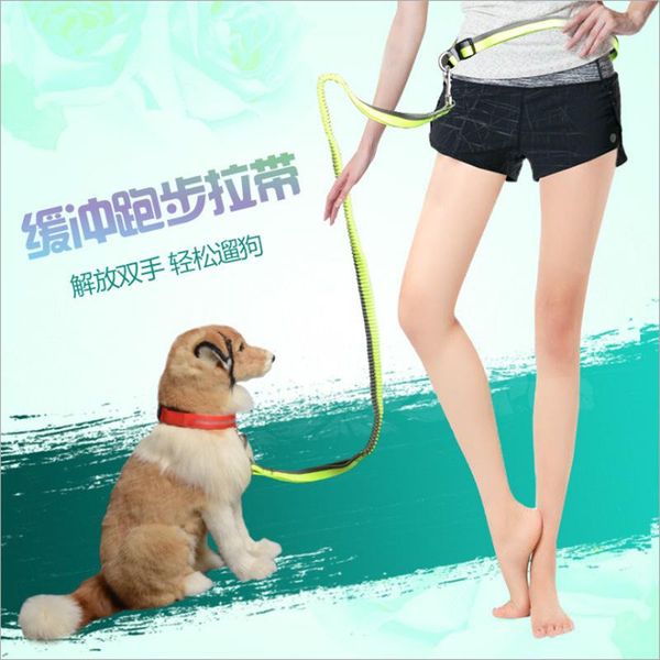 nylon luminous running buffer drawstring pet traction rope belt type dog walking training led collar collars & leashes
nylon luminous running buffer drawstring pet traction rope belt type dog walking training led collar collars & leashes