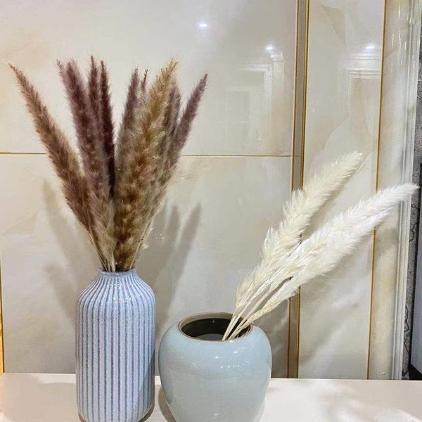 decorative flowers & wreaths plant decoration reed small pampas white dried air-dried display props home
decorative flowers & wreaths plant decoration reed small pampas white dried air-dried display props home