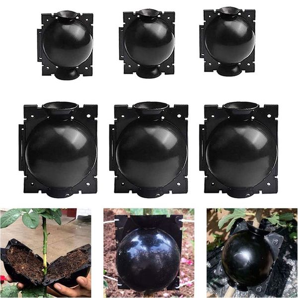 planters & pots 3pcs plant rooting ball grafting growing box breeding case high pressure propagation for garden plants sapling
planters & pots 3pcs plant rooting ball grafting growing box breeding case high pressure propagation for garden plants sapling