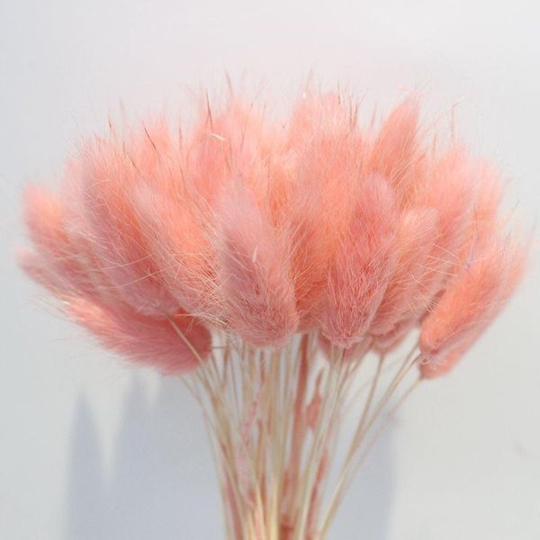 decorative flowers & wreaths tail grass home decor decoration natural self-drying flower garden real eternal shooting props
decorative flowers & wreaths tail grass home decor decoration natural self-drying flower garden real eternal shooting props