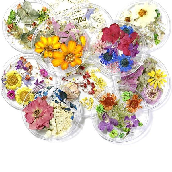 10pcs/jar dried flowers nail art decorations colorful natural dry flower 3d beauty real floral stickers uv gel manicure decals1, Silver;gold
10pcs/jar dried flowers nail art decorations colorful natural dry flower 3d beauty real floral stickers uv gel manicure decals1, Silver;gold