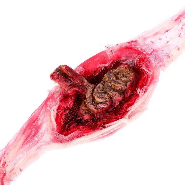 party decoration scary decorations creepy lifelike prank holder po props adornament for decor (large intestine
party decoration scary decorations creepy lifelike prank holder po props adornament for decor (large intestine