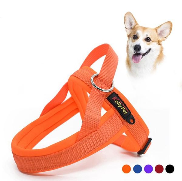 pet dog leash traction rope harness collar for small and large dogs collars & leashes
pet dog leash traction rope harness collar for small and large dogs collars & leashes
