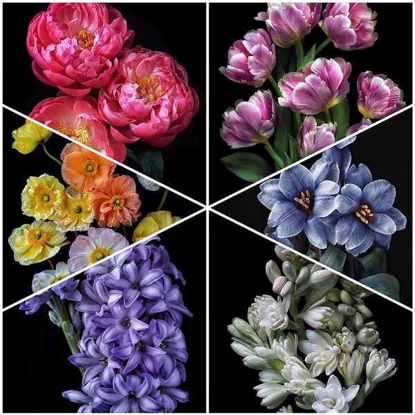 diamond painting 5d diy cross stitch embroidery flower mosaic handmade full square round drill wall decor craft gift
diamond painting 5d diy cross stitch embroidery flower mosaic handmade full square round drill wall decor craft gift
