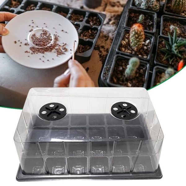 hole seedling starter tray plastic nursery bonsai flower pot green succulent plants seed grow box planters & pots
hole seedling starter tray plastic nursery bonsai flower pot green succulent plants seed grow box planters & pots