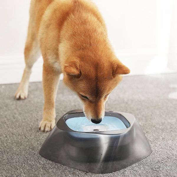 drinking water floating bowl pets no wetting mouth anti spill dog apparatus for household animal dogs decoration bowls & feeders
drinking water floating bowl pets no wetting mouth anti spill dog apparatus for household animal dogs decoration bowls & feeders