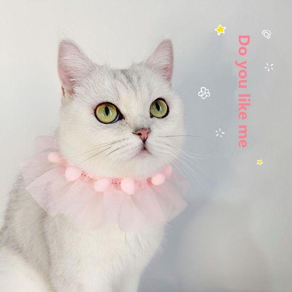 cat costumes lace floral princess pet adjustable scarf collar kittens young dog puppy teddy pography accessories chinese style necklac
cat costumes lace floral princess pet adjustable scarf collar kittens young dog puppy teddy pography accessories chinese style necklac