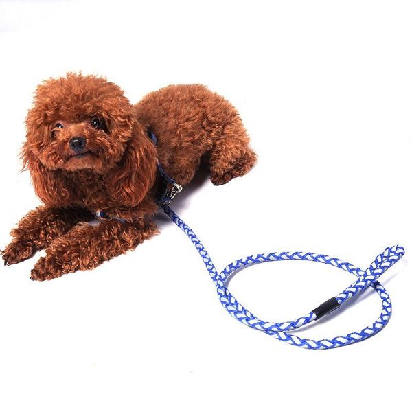 dog collars & leashes 1.2m traction belt with reflective light puppy cat rope leash for small medium dogs pet products
dog collars & leashes 1.2m traction belt with reflective light puppy cat rope leash for small medium dogs pet products