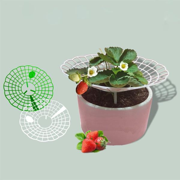 1/5/10 pcs strawberry stand frame holder balcony planting rack fruit support plant flower climbing vine pillar gardening other garden suppli
1/5/10 pcs strawberry stand frame holder balcony planting rack fruit support plant flower climbing vine pillar gardening other garden suppli