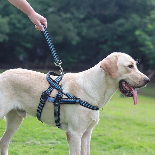 dog collars & leashes outdoor traction rope for medium and large dogs big nylon reflective portable chest back
dog collars & leashes outdoor traction rope for medium and large dogs big nylon reflective portable chest back