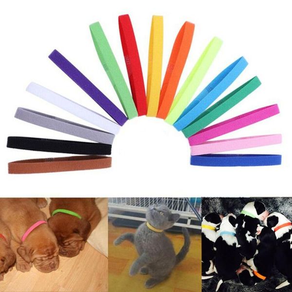 cat collars & leads 15pcs colorful puppy id collar velvet nylon identification whelp kitten pet supplies reusable
cat collars & leads 15pcs colorful puppy id collar velvet nylon identification whelp kitten pet supplies reusable