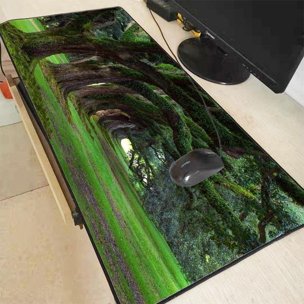 mouse pads & wrist rests old growth row of trees large gaming pad lock edge game mat for lapkeyboard desk pc notebook
mouse pads & wrist rests old growth row of trees large gaming pad lock edge game mat for lapkeyboard desk pc notebook